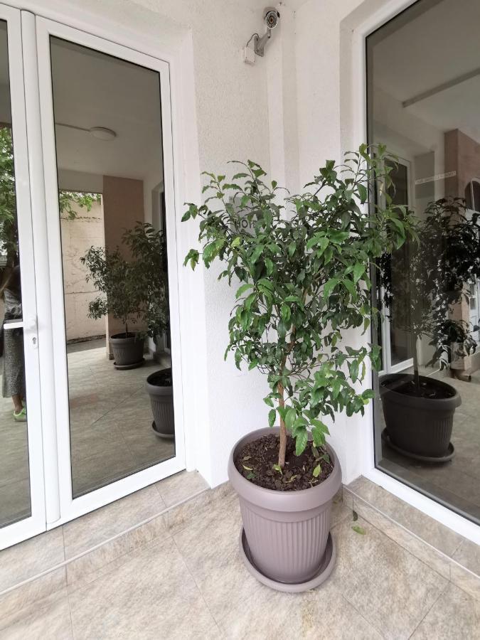 Garni Hotel S Coast Будва Экстерьер фото